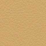 leather-br-225.jpg